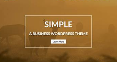 Simple WordPress Themes