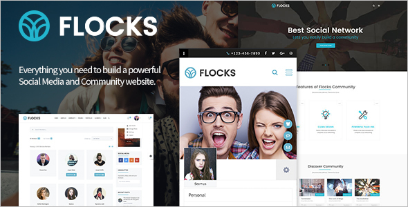 Social Network Business WordPress Theme