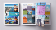 Best Travel Newsletter Templates