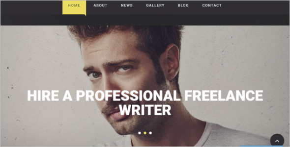 Freelance Writer WordPress Theme