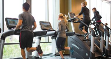 Gym WordPress Themes