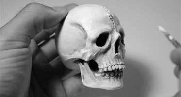 Human Skull Illustration vector