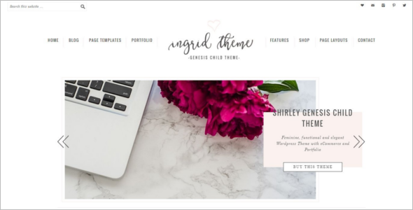 Portfolio ECommerce WordPress Theme