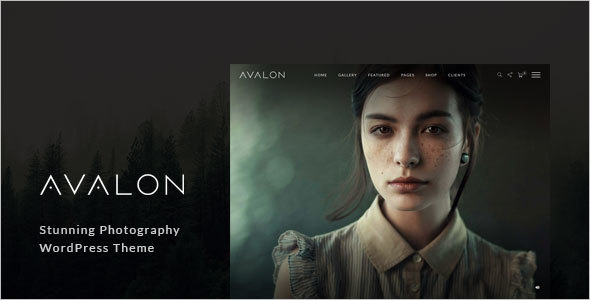 Responsive WordPress Photography Theme