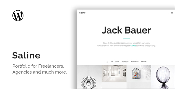 Saline Portfolio WordPress Theme