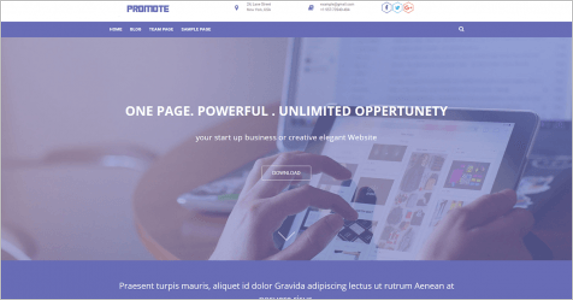 Sample Landing Page Theme