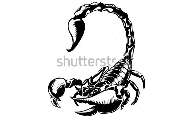 Sample Tattoo Scorpion Design