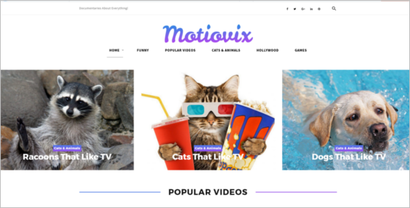 Video Streaming WordPress Theme