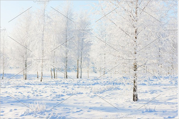 Background Winter Template