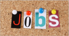 23+ Best Job Board Templates