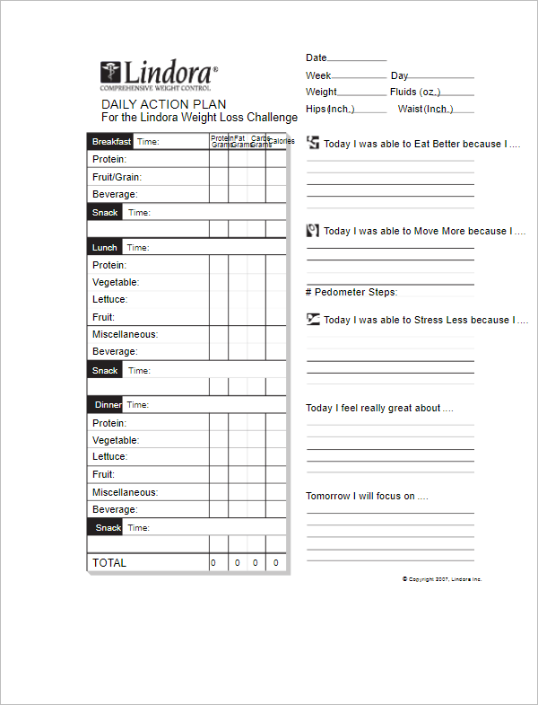 Daily Action Plan Template
