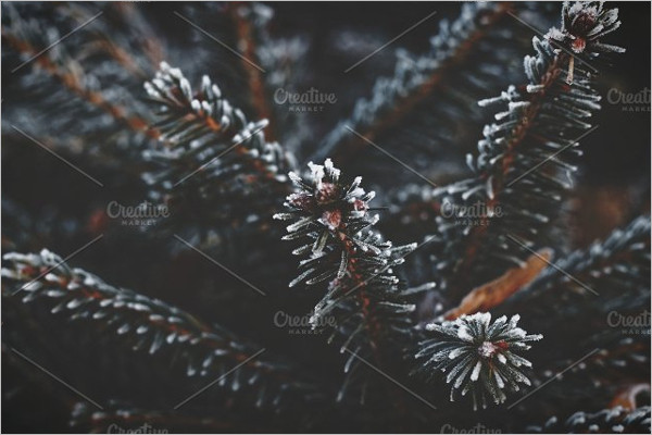 Frozen Winter Background Design