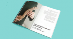 25+ Responsive HTML5 Magazine Templates