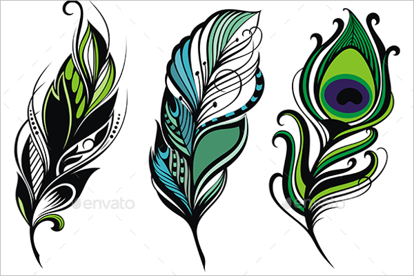 Peacock Feather Vector Design