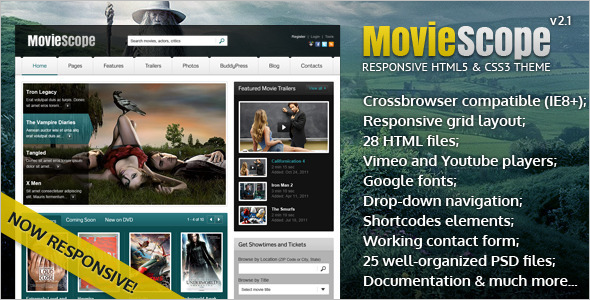 Responsive HTML5 and CSS3 Video Portal Template