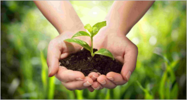 Agriculture Website Templates