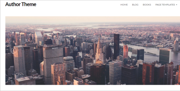 Author Website WordPress Theme