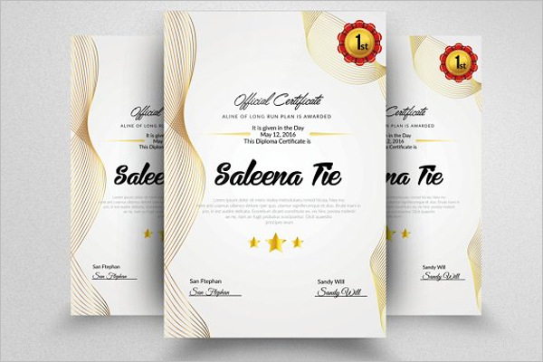 Employee Experience Certificate Template
