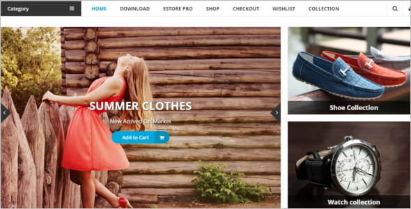 Free Shopping Ecommerce WordPress Theme