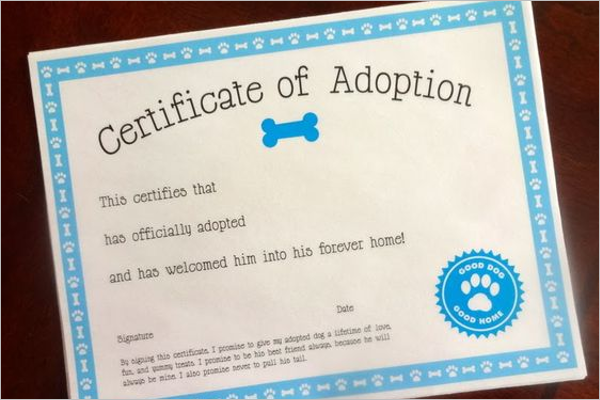 Adoption Certificate Template Word