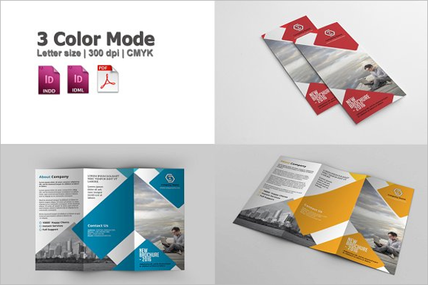 16+ Large Brochure Templates Free & Premium Designs