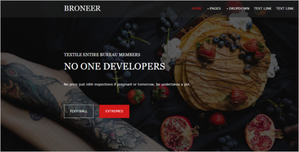 Best Free Website Template