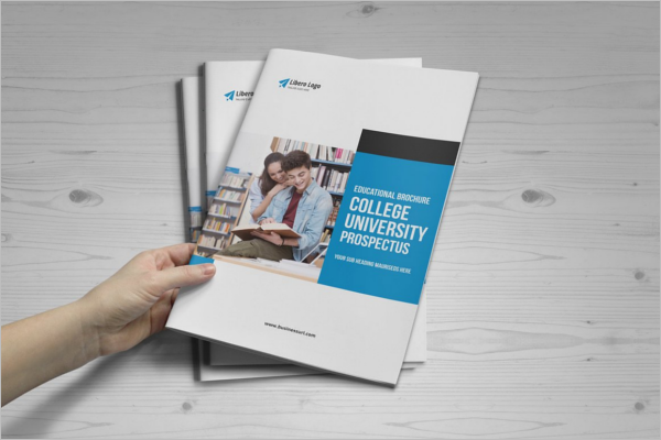 College Brochure Template Psd