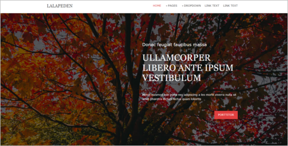 Customize Website Template