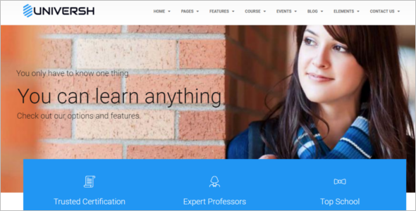 Drupal Website Themes