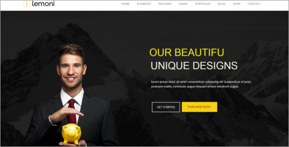 Drupal Professional Training Theme