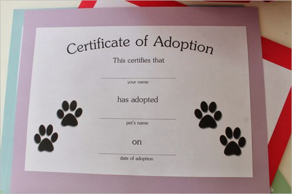 Adoption Certificate Template Pdf