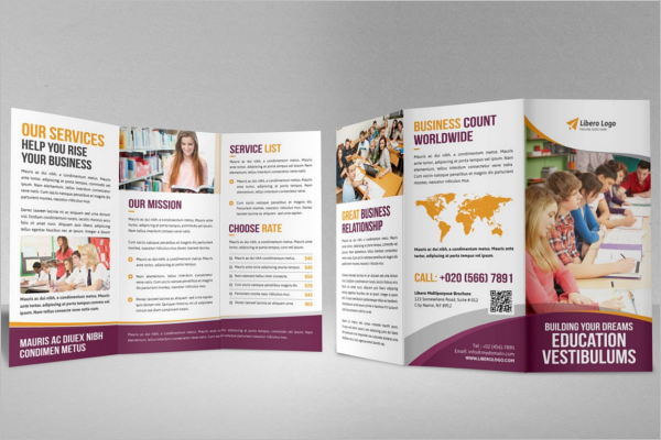 Education Brochure Templates Free Download