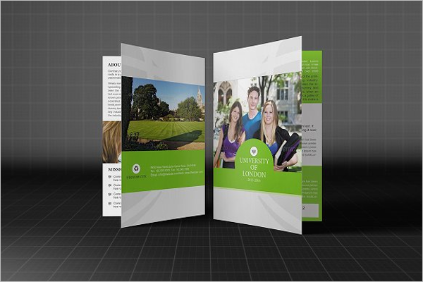 Elegant College Brochure Design