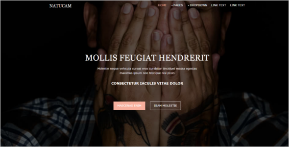 Elegant Free Website Template