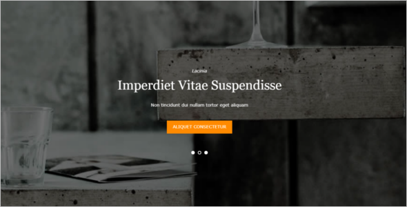 Free CSS Website Template