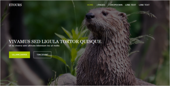Free CSS & Website Template