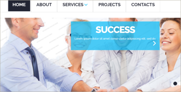 Free CSS Website Template