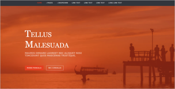 Free HTML for Website Template