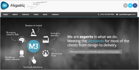 MultipurposeÂ CSS Website Template