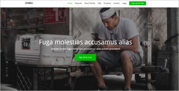 Multipurpose Free Website Template