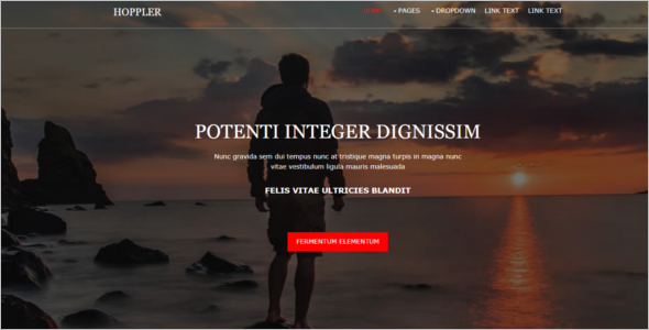 Personal Free Website Template