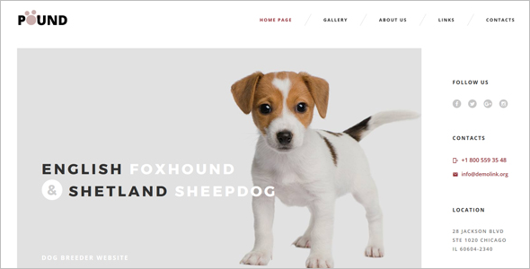 Pet's Care Website Template