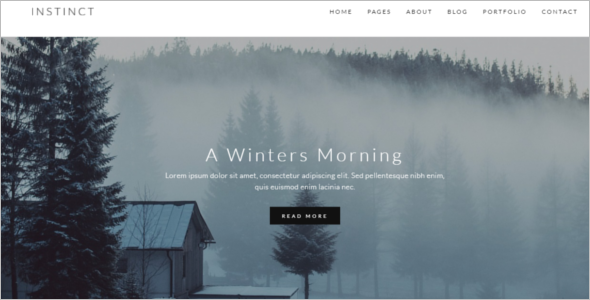 Portfolio & Blog Website Template