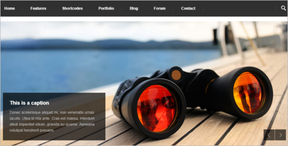 Premium Business Drupal Theme