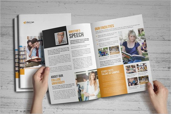 Professional College Brochure Template