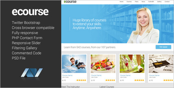 Responsive Website Theme