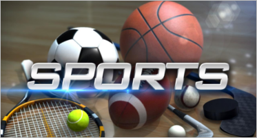sports website templates