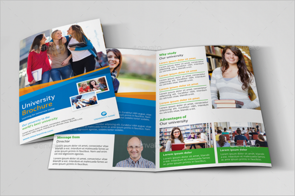 University Education Brochure Template