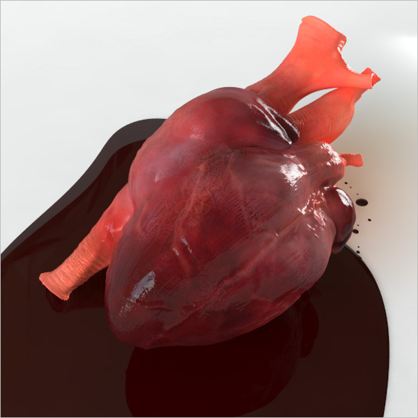3D Heart Design