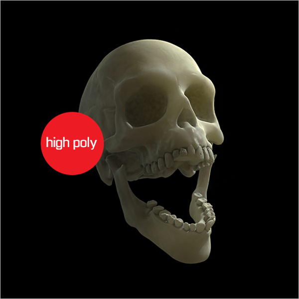 3D Model Skull Viewer